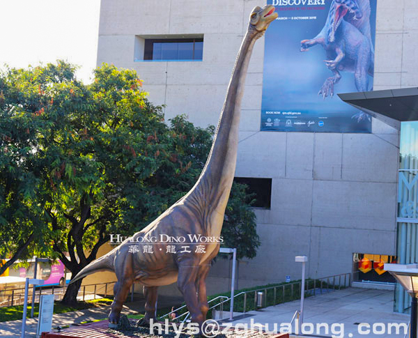  華龍藝術(shù)主題公園 大型仿真恐龍展覽20M